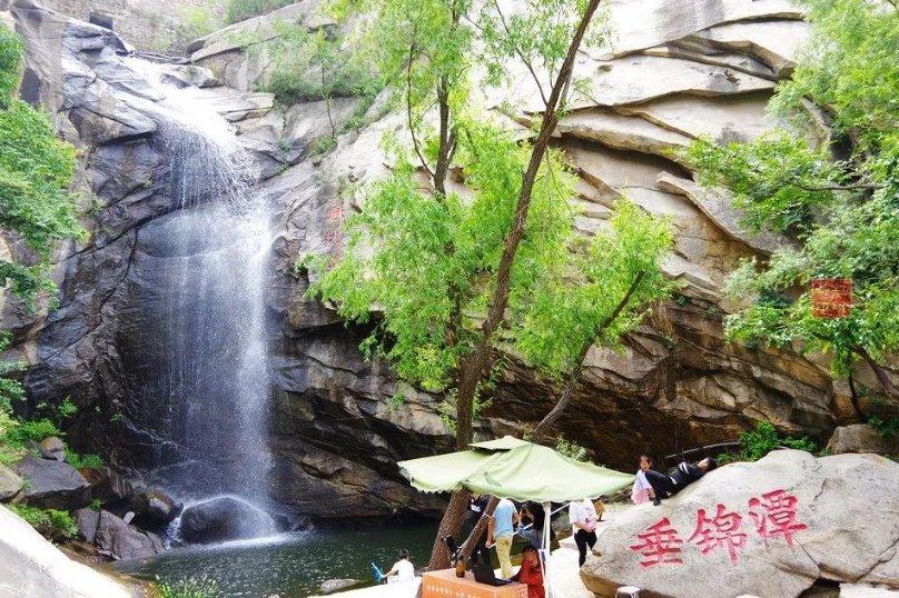 探寻上海地区桃树什么时候套袋?,畅想问答社区之美